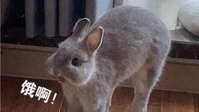 早起吃瓜大聪明,大聪明教你轻松掌握生活小技巧