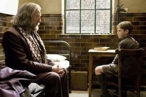 霍格沃茨的教授集体吃瓜,揭秘魔法世界的八卦风云