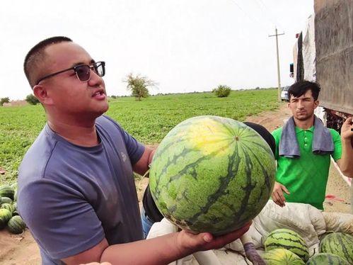 台湾基隆吃瓜,台湾基隆吃瓜之旅