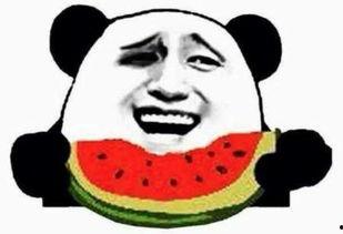 瓜哥吃瓜群众,揭秘娱乐圈幕后风云