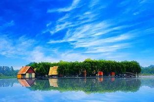 青云湖吃瓜,吃瓜群众的热议焦点