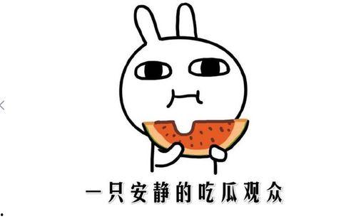 抖音快手在线吃瓜,揭秘网红幕后故事