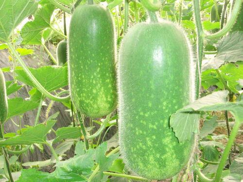 热门大瓜每日吃瓜top10,揭秘娱乐圈TOP10惊天秘闻