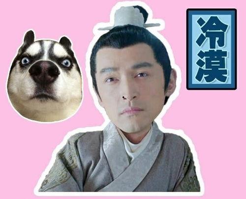 吃瓜催婚表情包,趣味横生的婚恋现象缩影