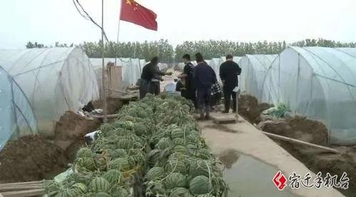 宿迁吃瓜群,揭秘当地特色美食与民间趣事