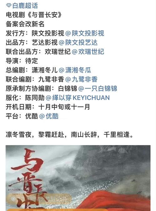 《理性吃瓜》全部,揭秘网络舆论背后的真相与反思