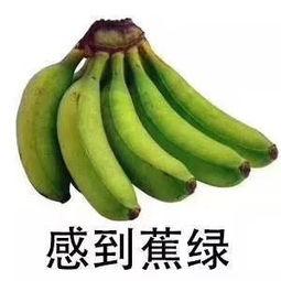 蕉绿吃瓜群众,揭秘网络热议背后的真相与趣味