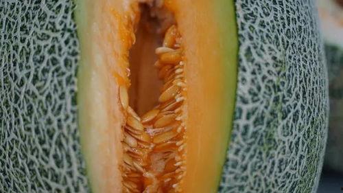 夏天到了吃蜜瓜,清凉甜蜜的夏日美味探索