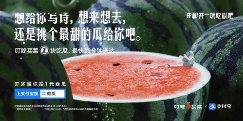 幼儿吃瓜文案,甜蜜滋味，快乐成长