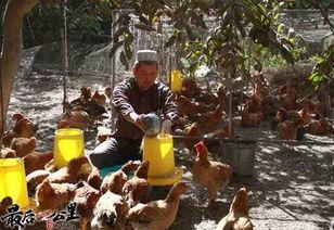 跑男吃瓜新疆,吃瓜乐趣多，欢乐无限