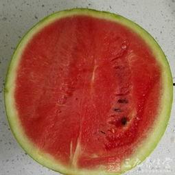 感冒可以吃籽瓜,感冒期间的天然食疗佳品