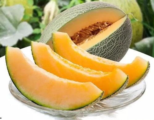 瓜州区最新吃瓜,瓜香四溢，美食盛宴等你来尝