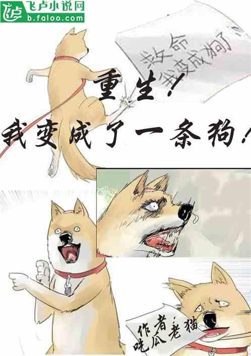 吃瓜预言小说在线阅读,揭开小说世界的神秘面纱