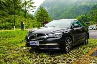 吃瓜视频迈腾男子,揭秘事件背后真相