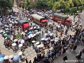 大货车晚上吃瓜,揭秘大货车司机夜间美食之旅