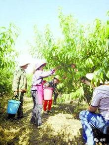 桃源再聚吃瓜亭