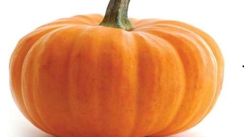 秋天不易吃的瓜